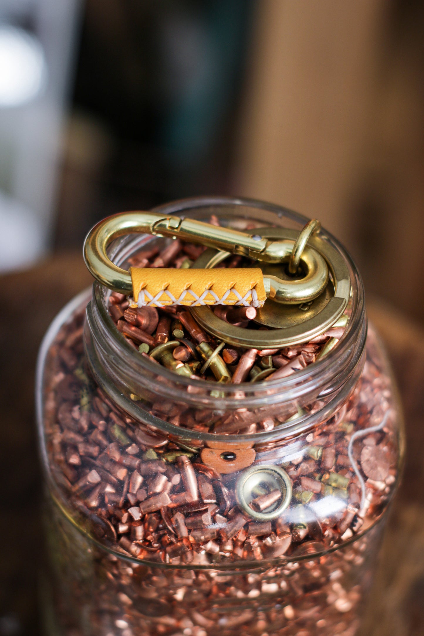 Solid Brass Carabiner Clip | + TOKEN